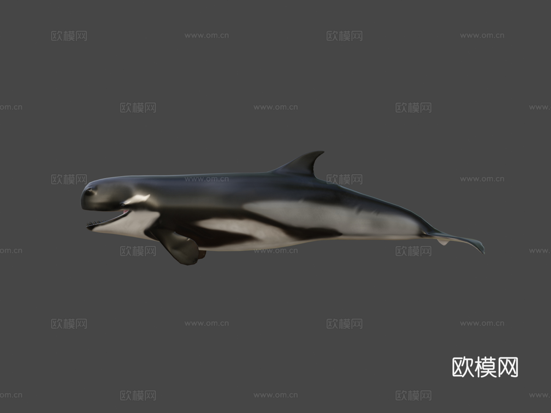 利维坦鲸3d模型