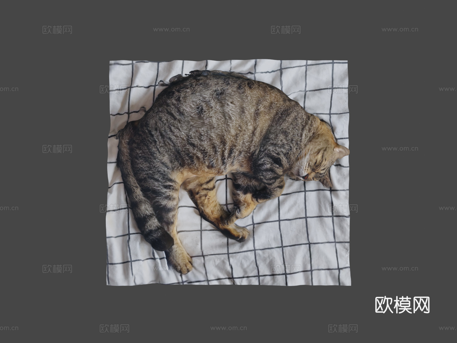 床上睡猫1-3D扫描su模型