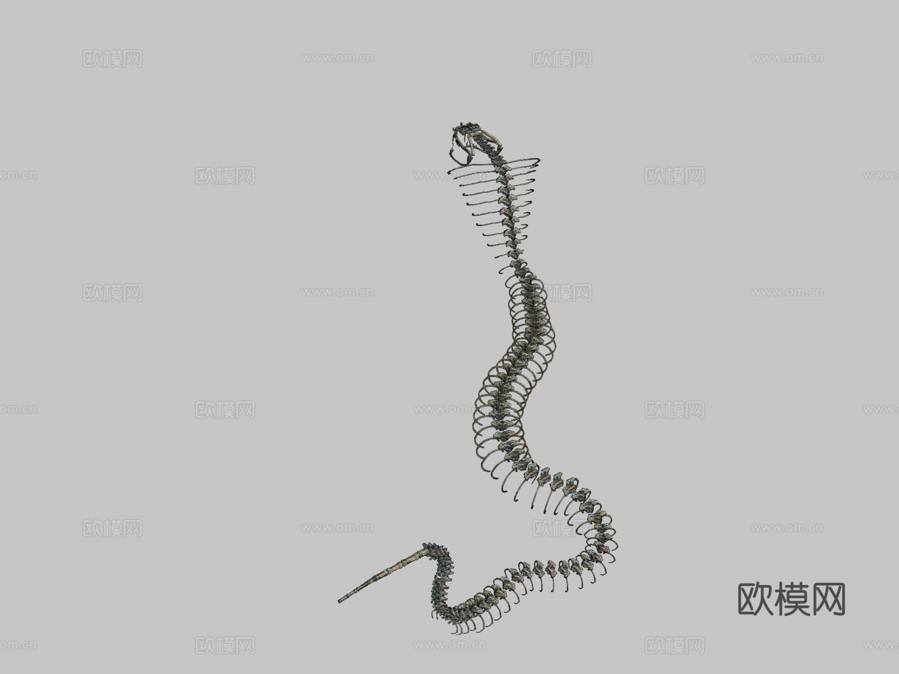 眼镜蛇骨架守卫3d模型