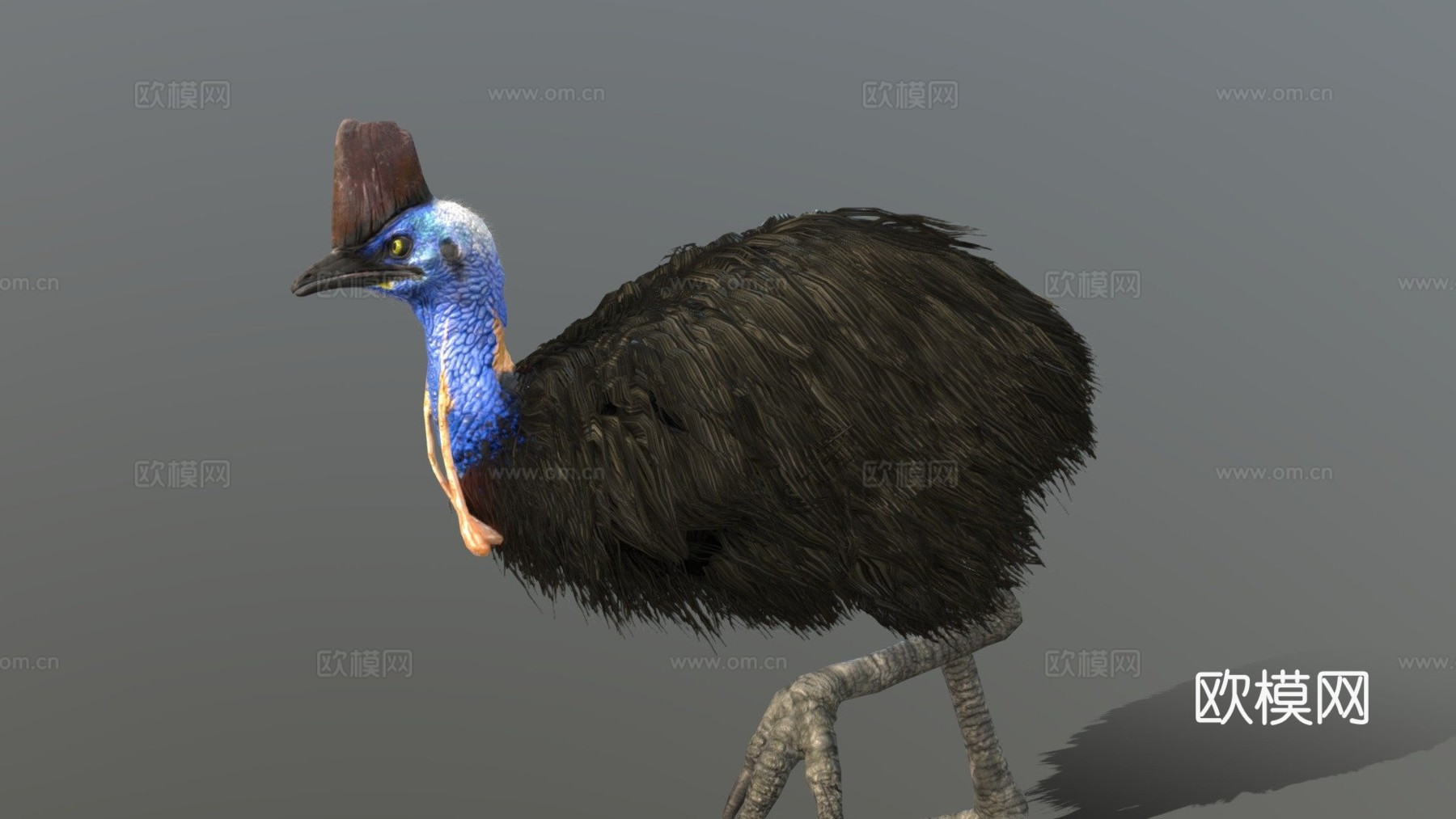 南方食火鸡su模型下载（渲染图1）