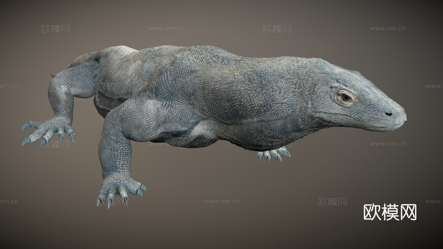 科莫多龙3d模型
