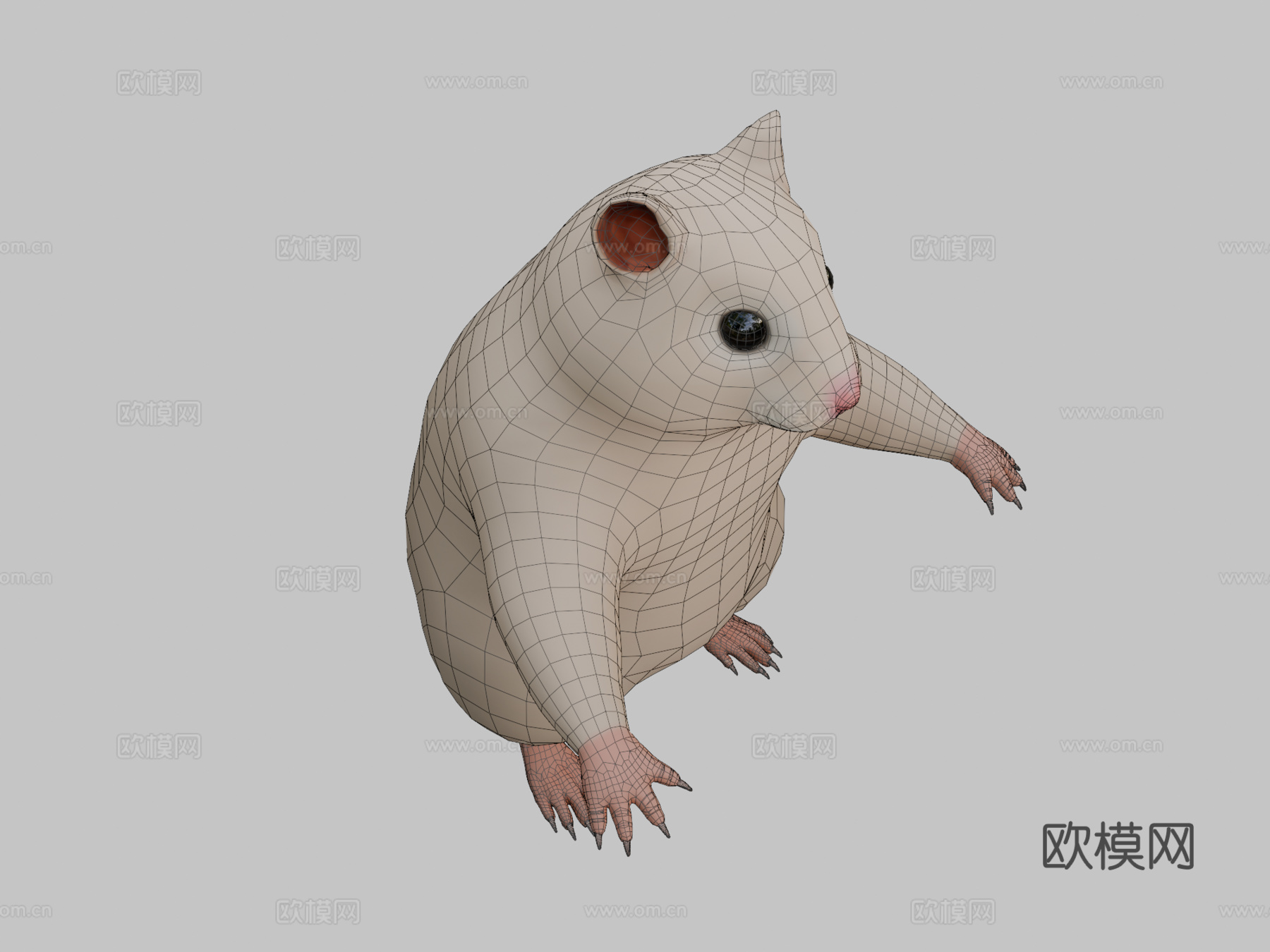 仓鼠3d模型下载（渲染图2）