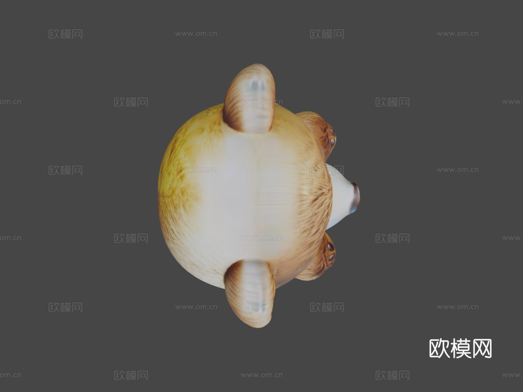 泰迪熊3d模型