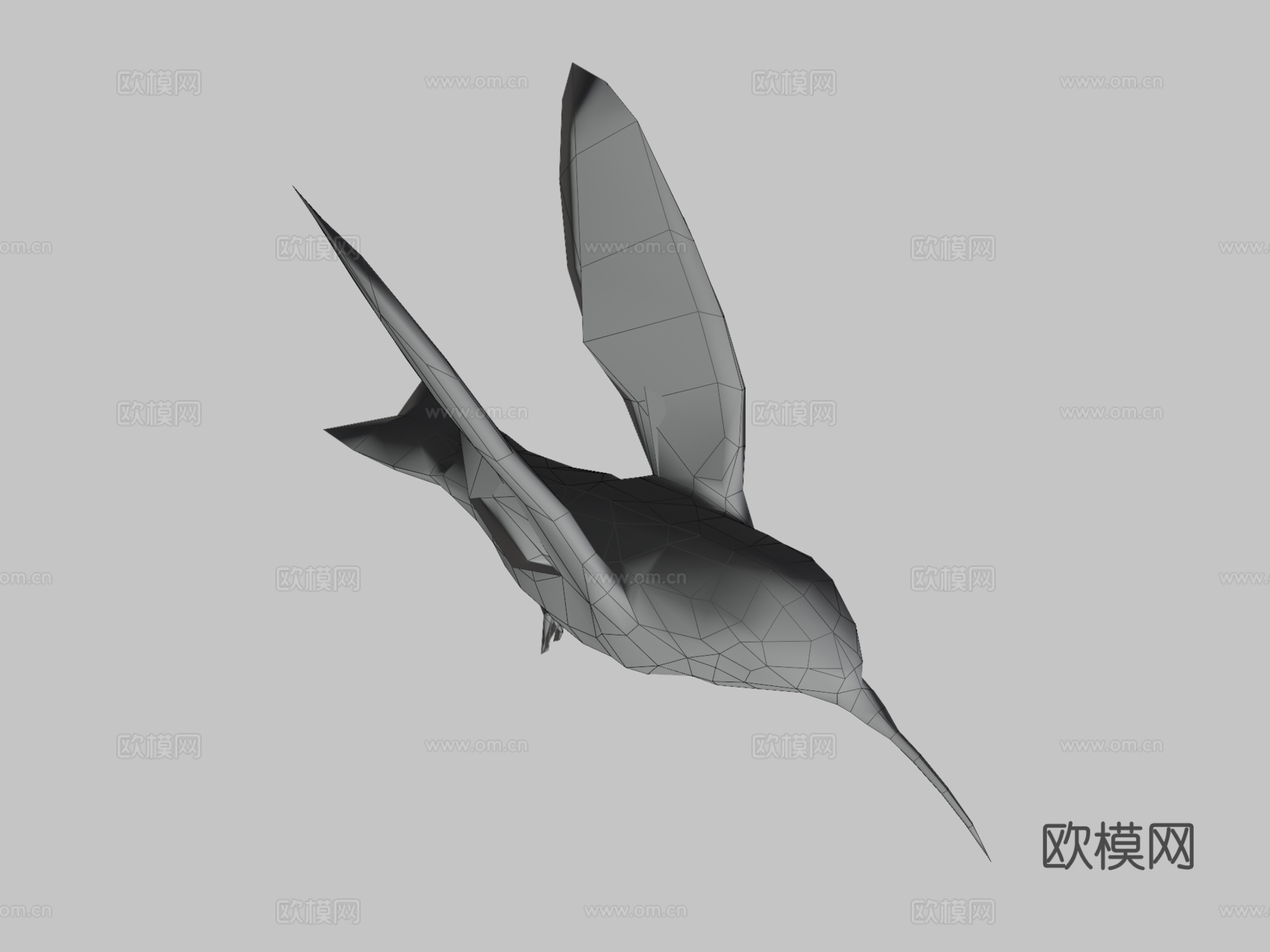蜂鸟3d模型