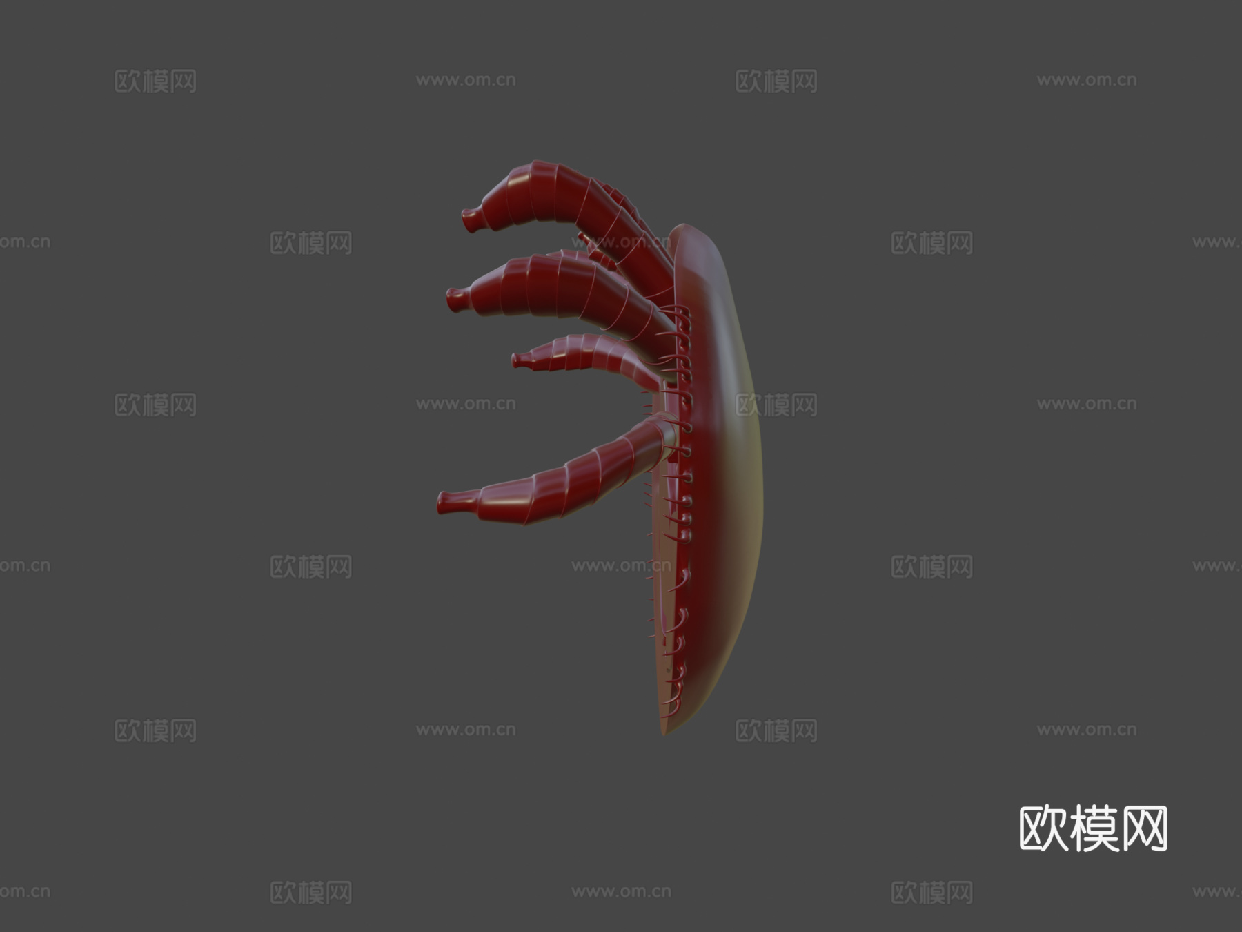 瓦螨-3D打印模型3d模型