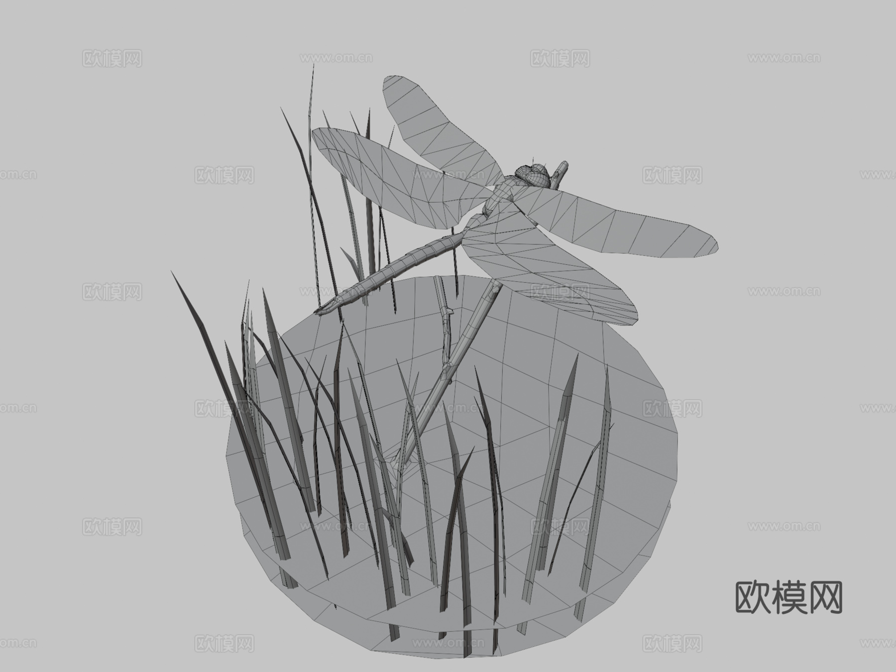 蓝蜻蜓3d模型