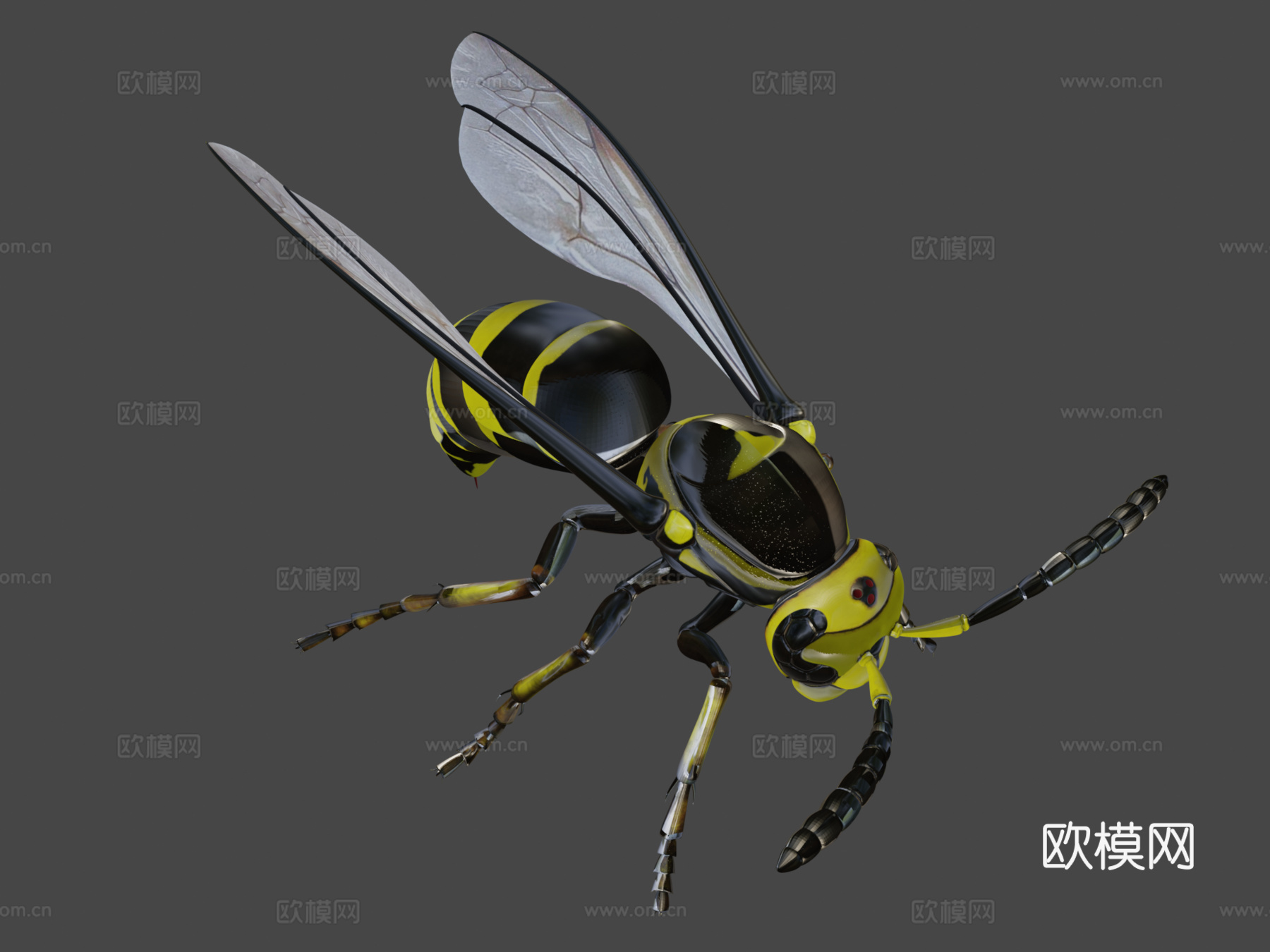 黄蜂3d模型