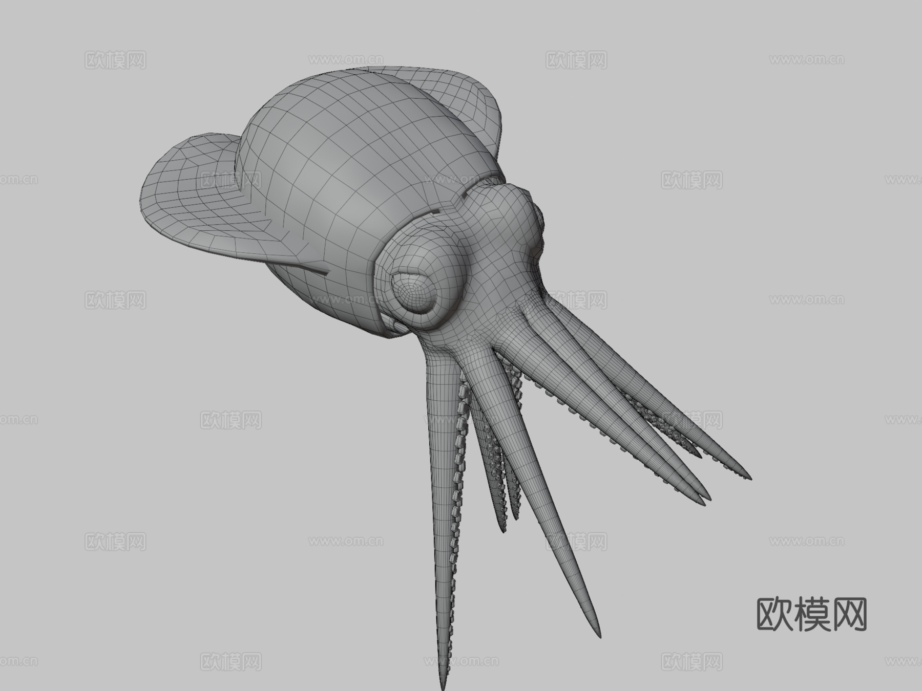 短尾鱿鱼3d模型