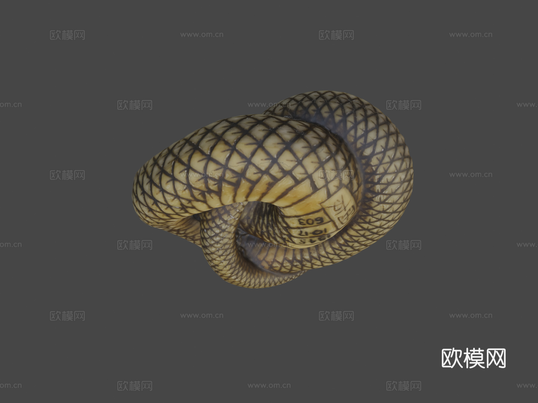 盘绕的蛇3d模型