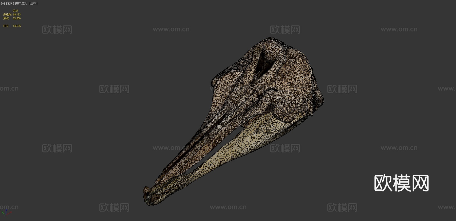 NSMT-M62850黑塚头骨模式标本3d模型
