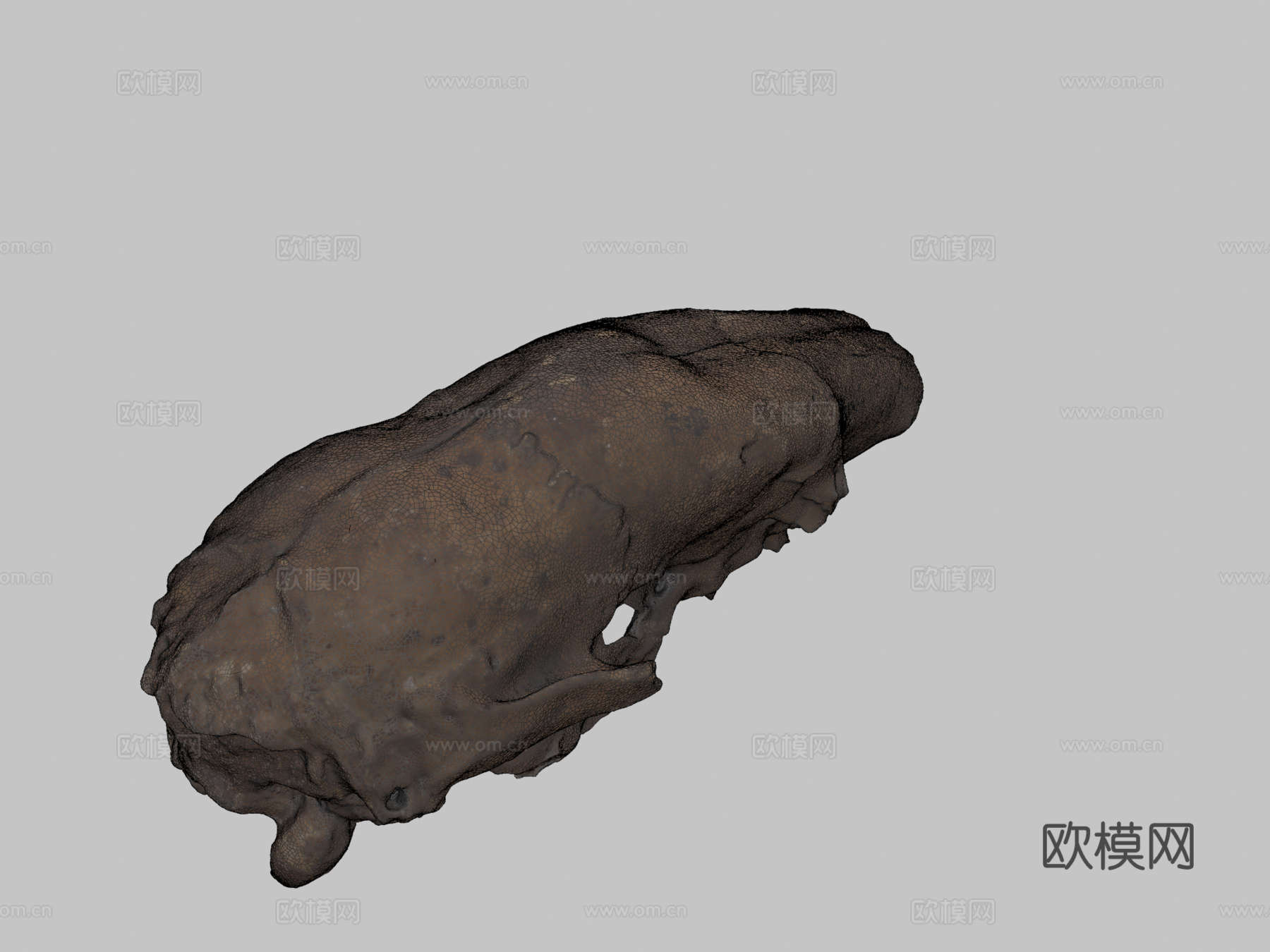 沙斯塔地懒3d模型