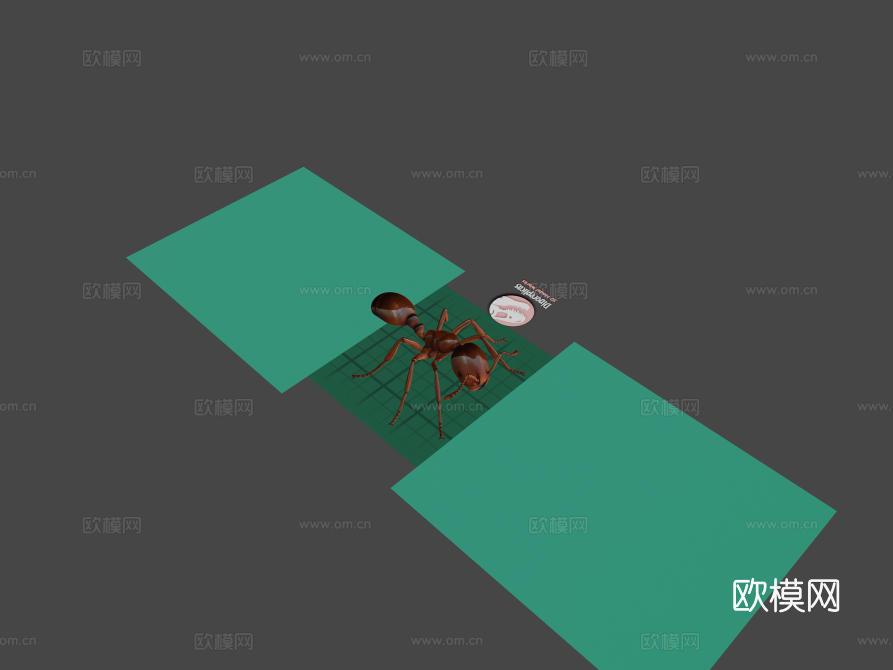 红火蚁-带动画3d模型