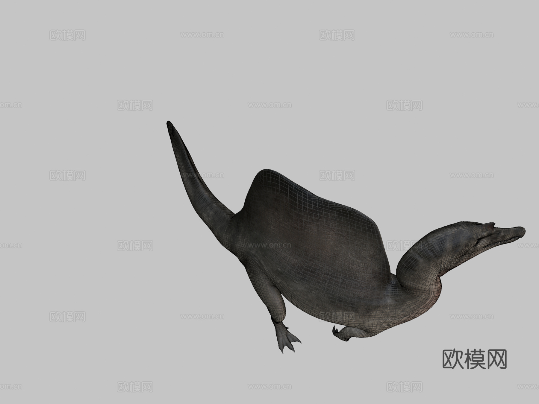 埃及棘龙3d模型