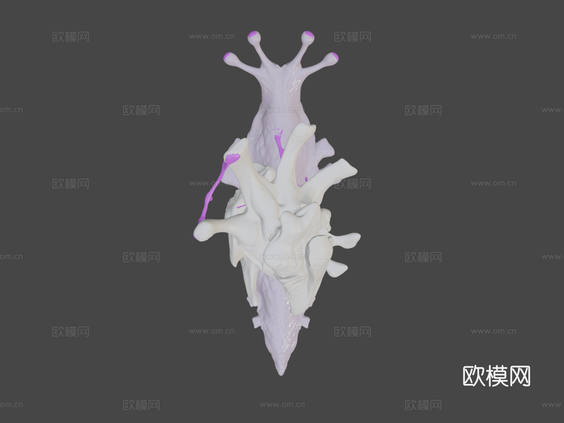 远古蜗牛3d模型