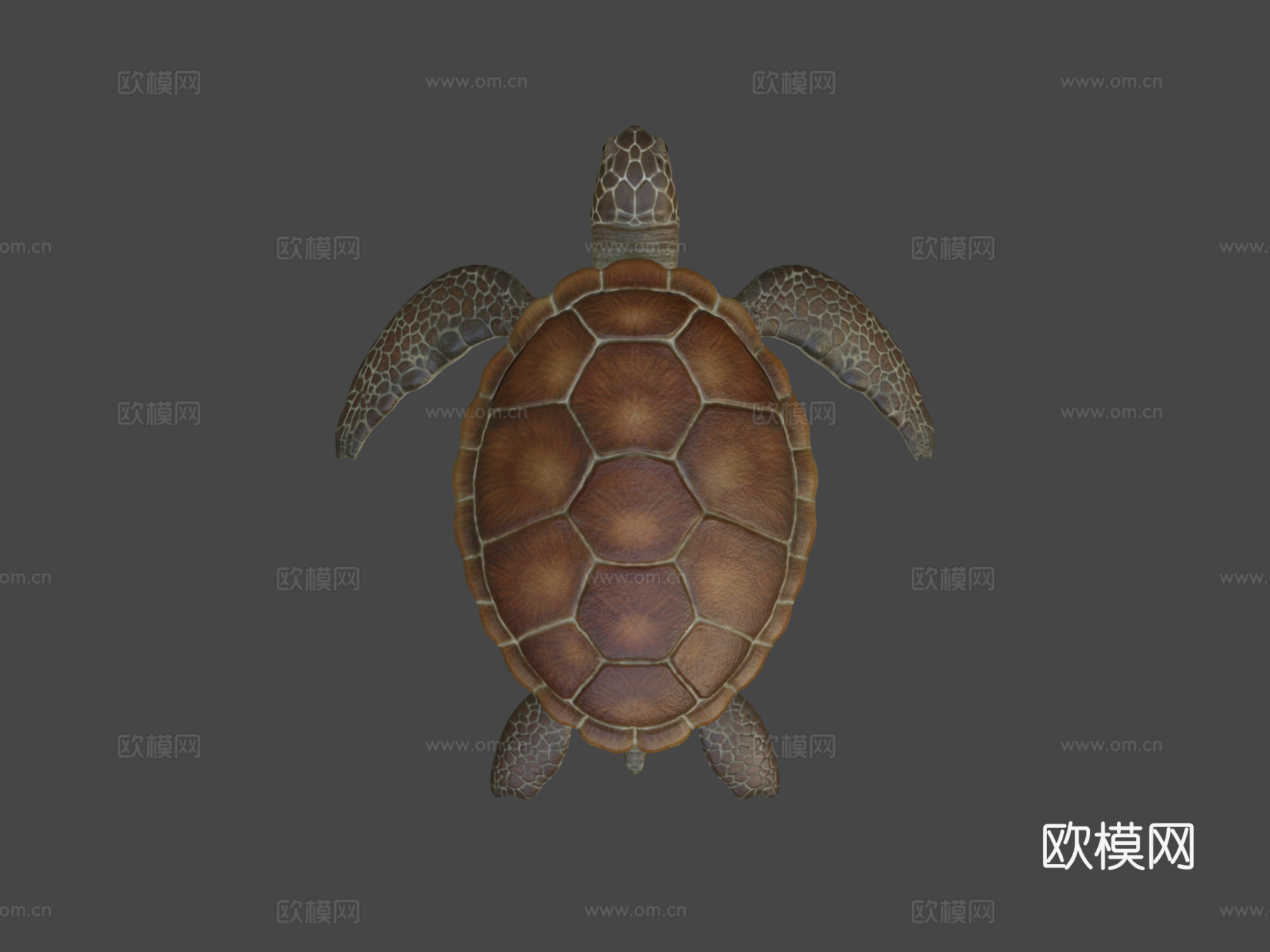 海龟低多边形3d模型