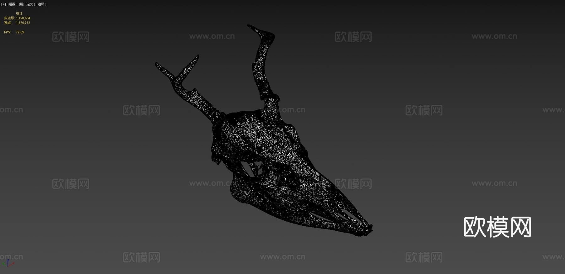 白尾鹿3d模型