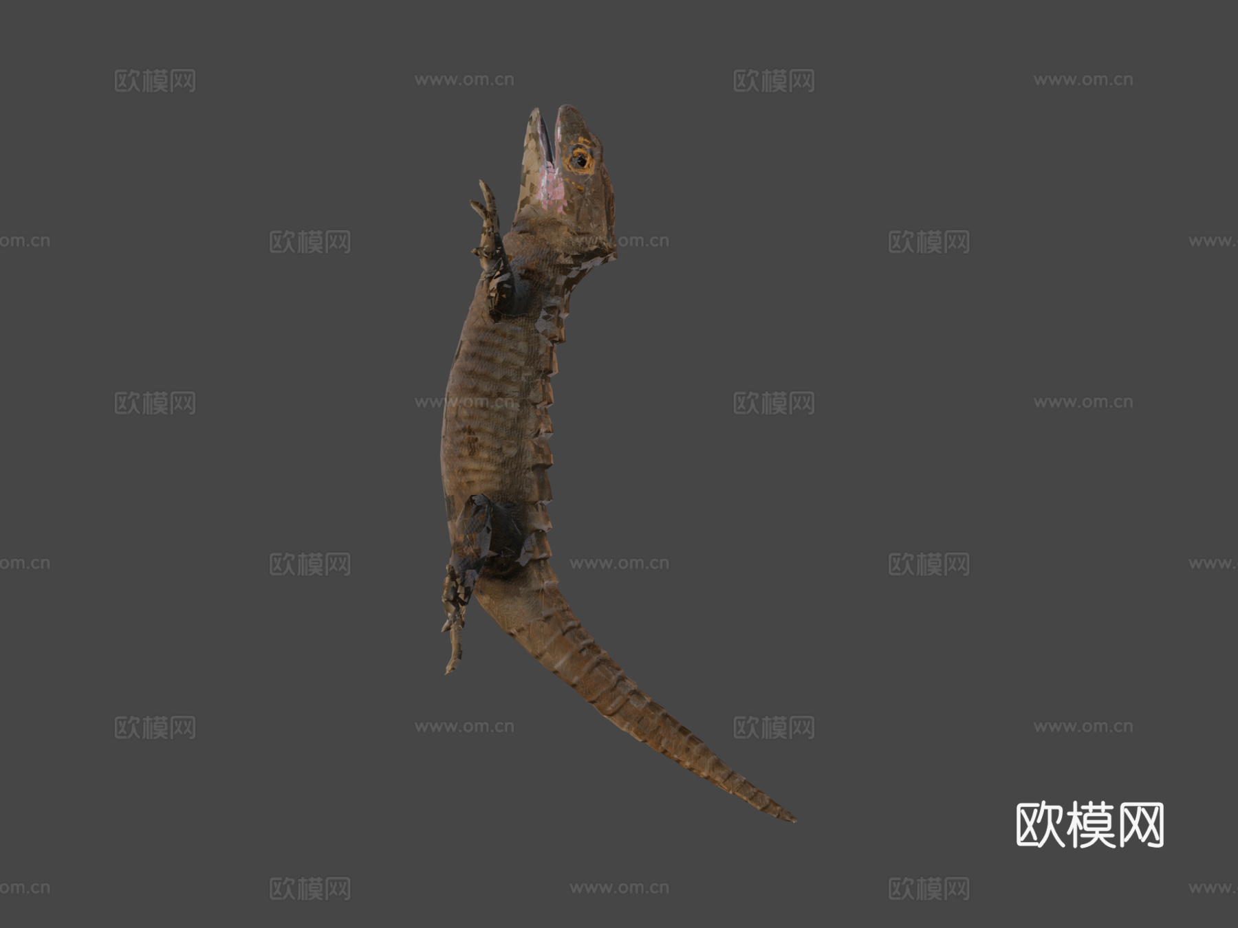 鳄鱼石龙子3d模型