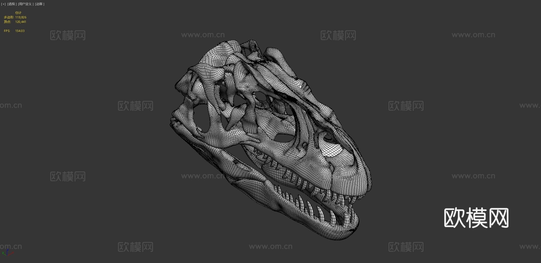 脆弱异特龙头骨3d模型