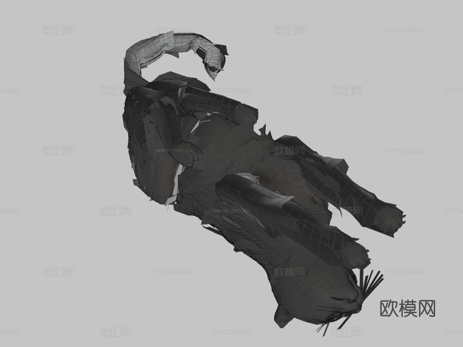橙色动画猫3d模型