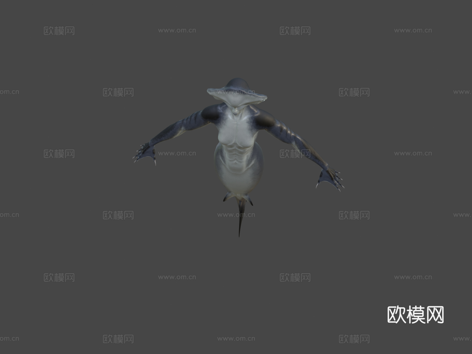 鲨鱼美人鱼3d模型
