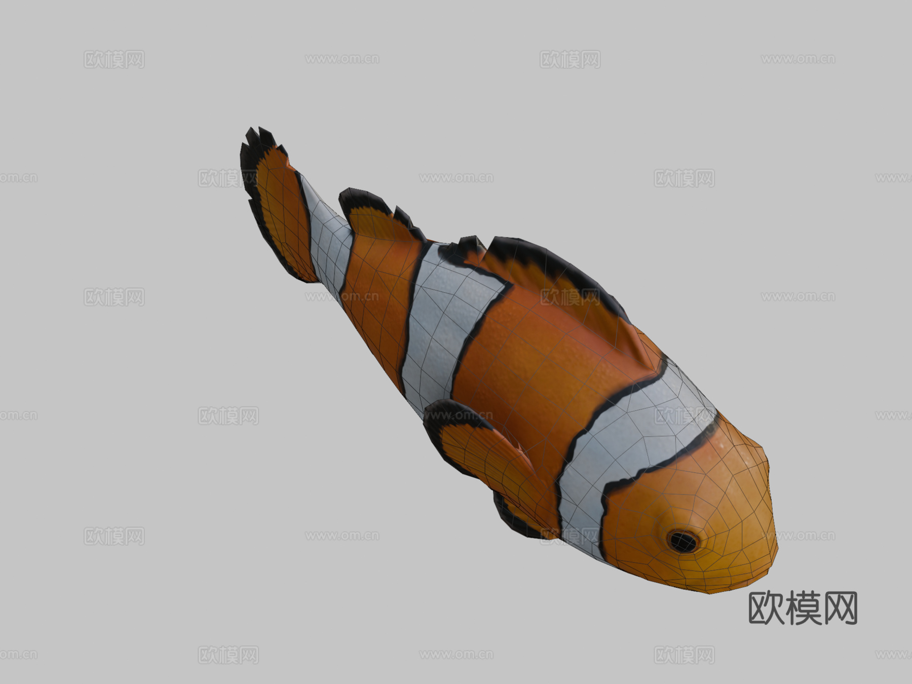 小丑鱼3d模型