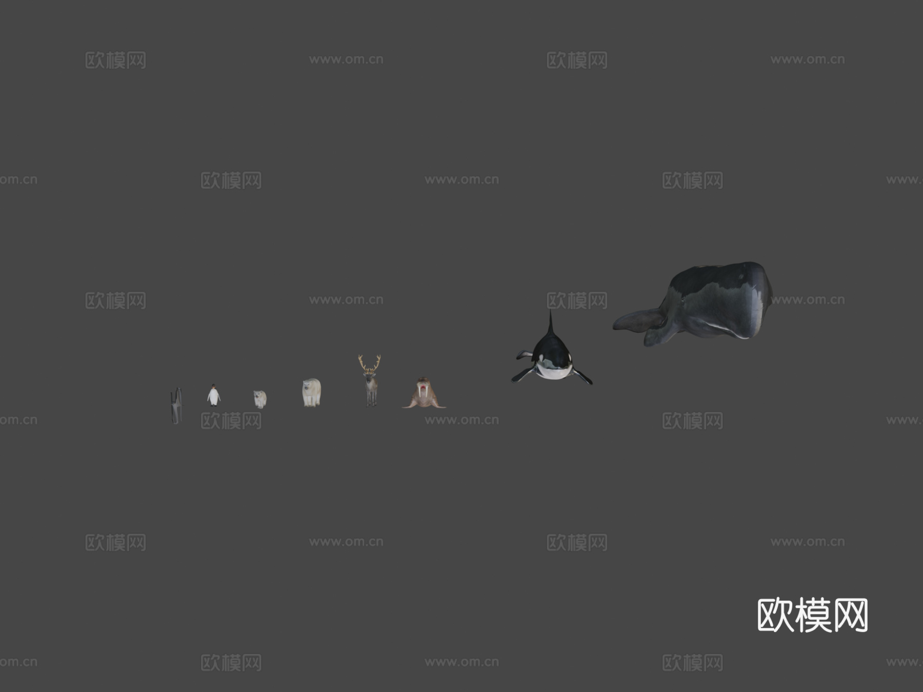 北极动物包3d模型