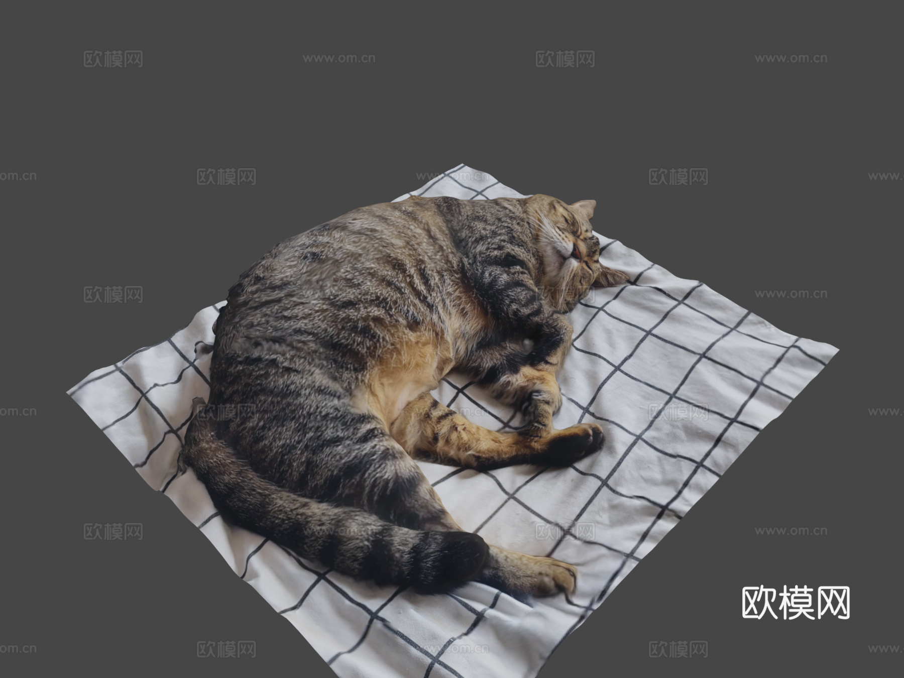 床上睡猫1-3D扫描su模型