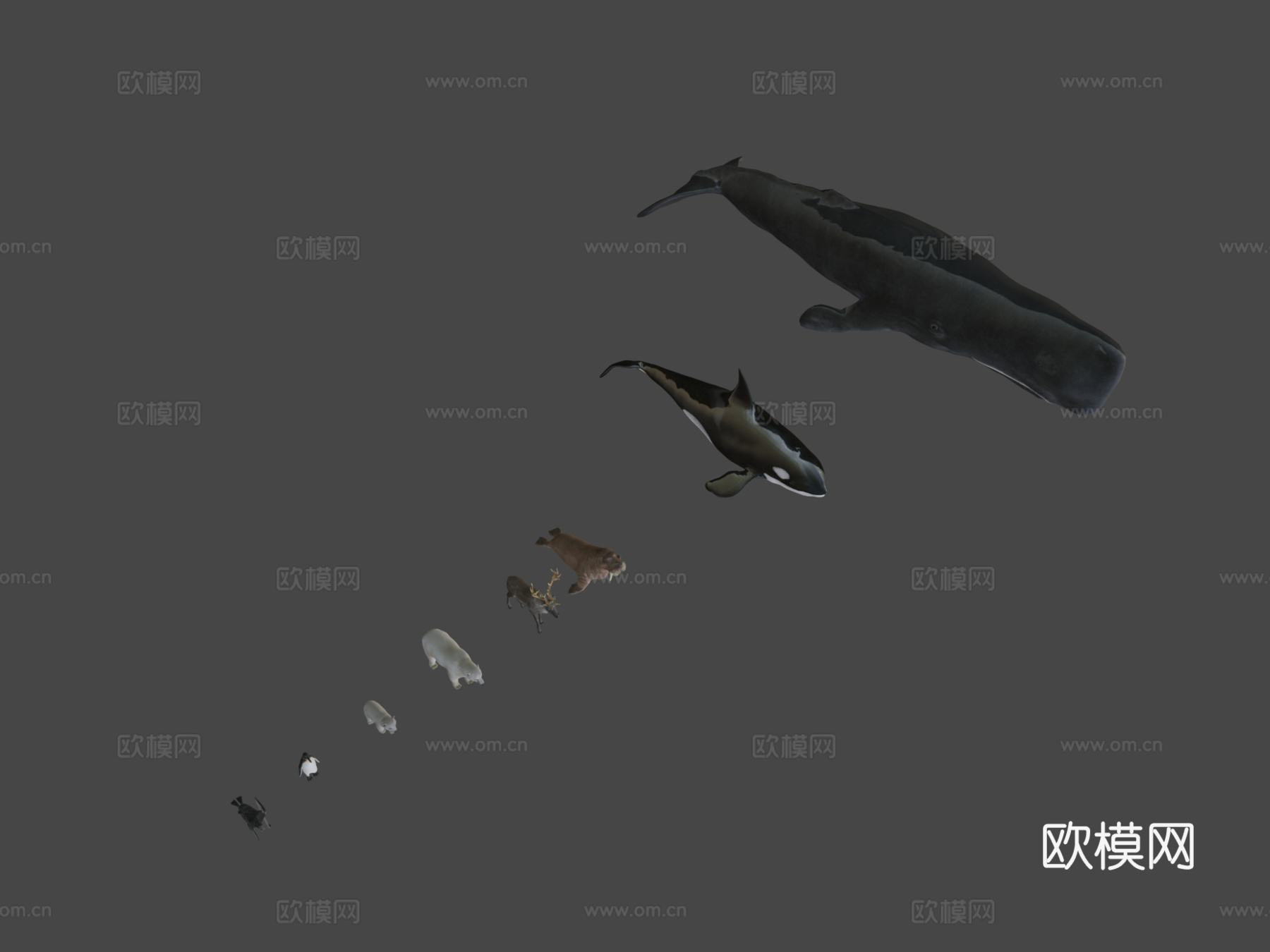 北极动物包3d模型