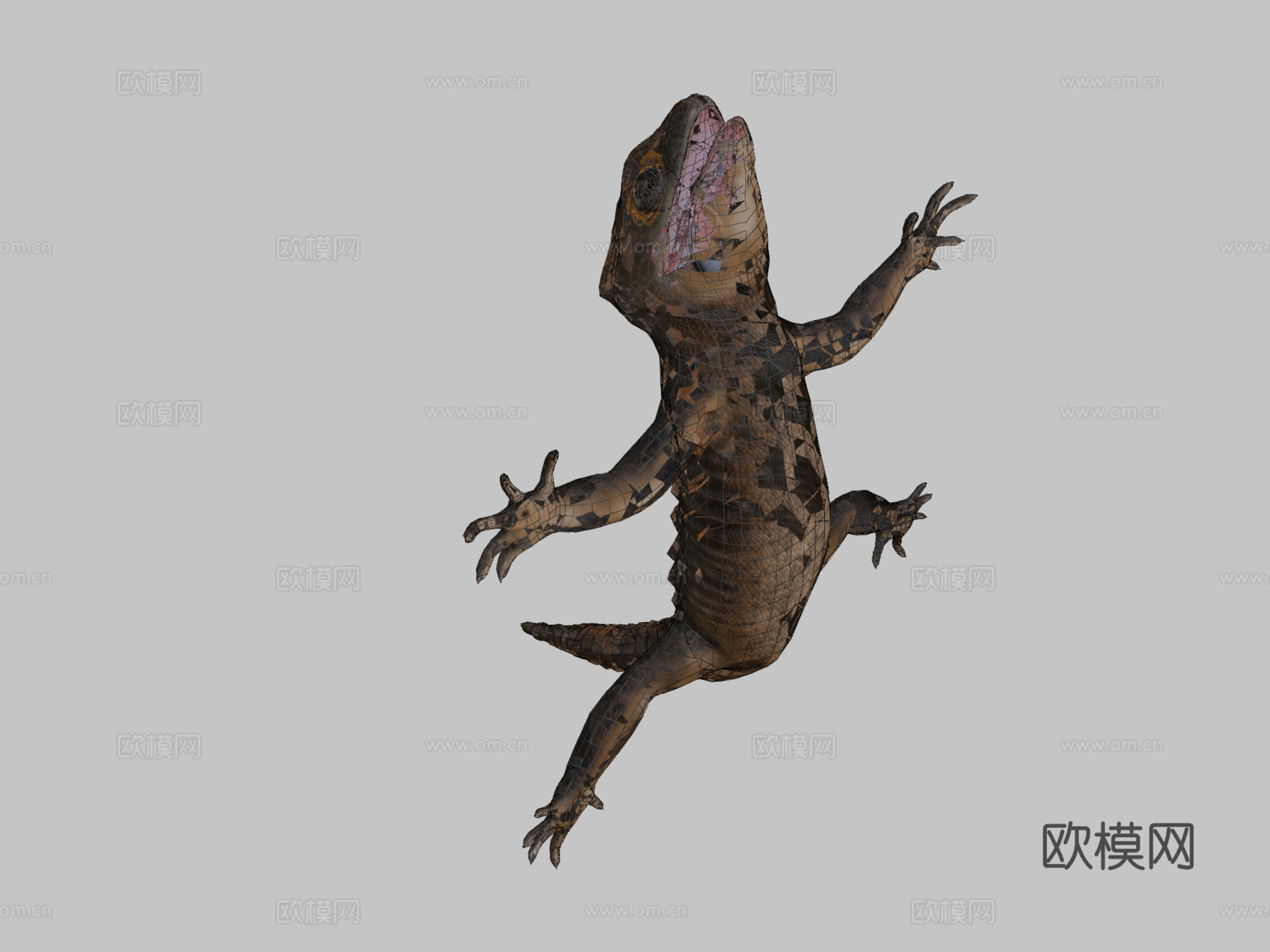 鳄鱼石龙子3d模型