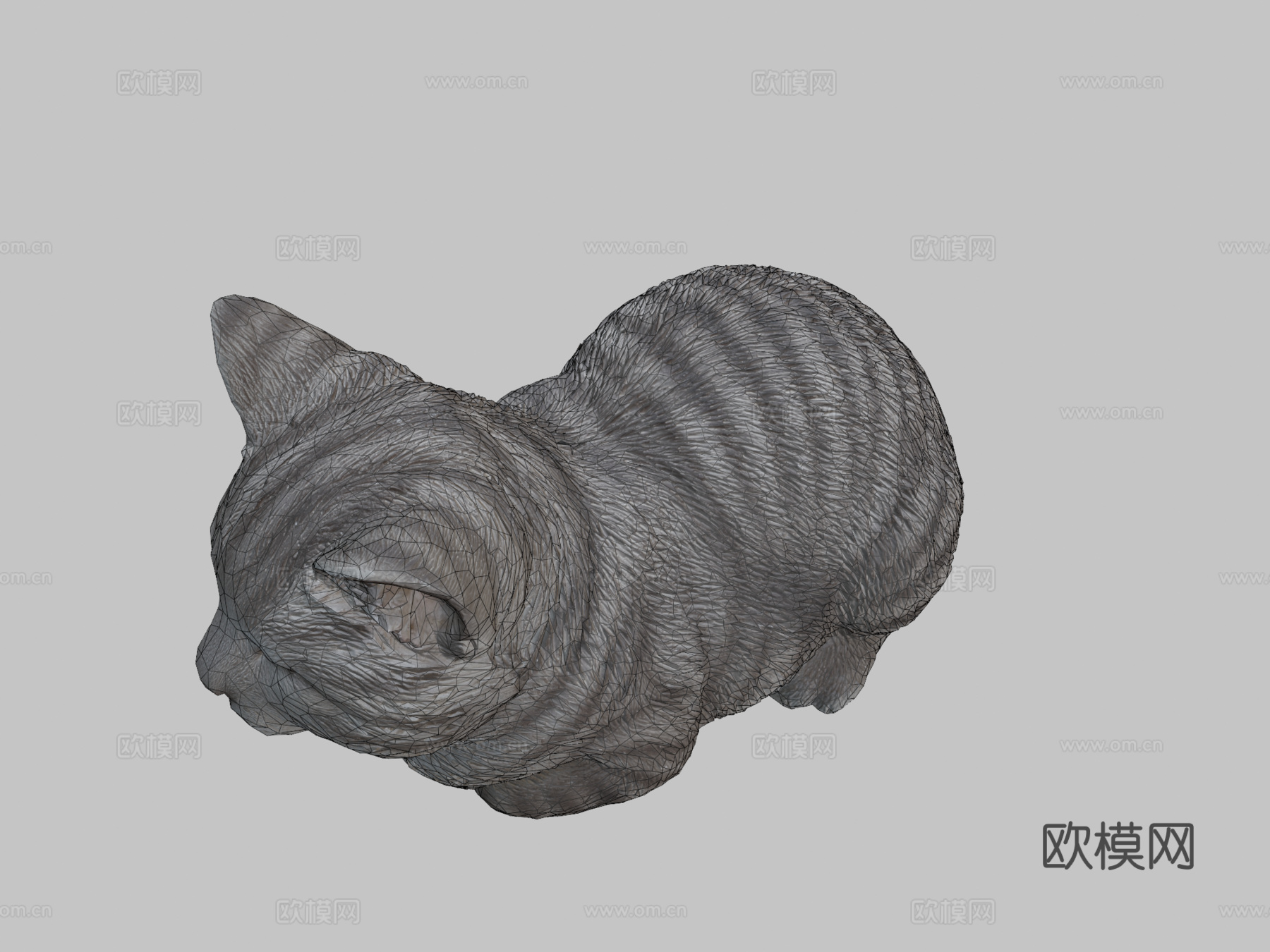 打盹猫3d模型