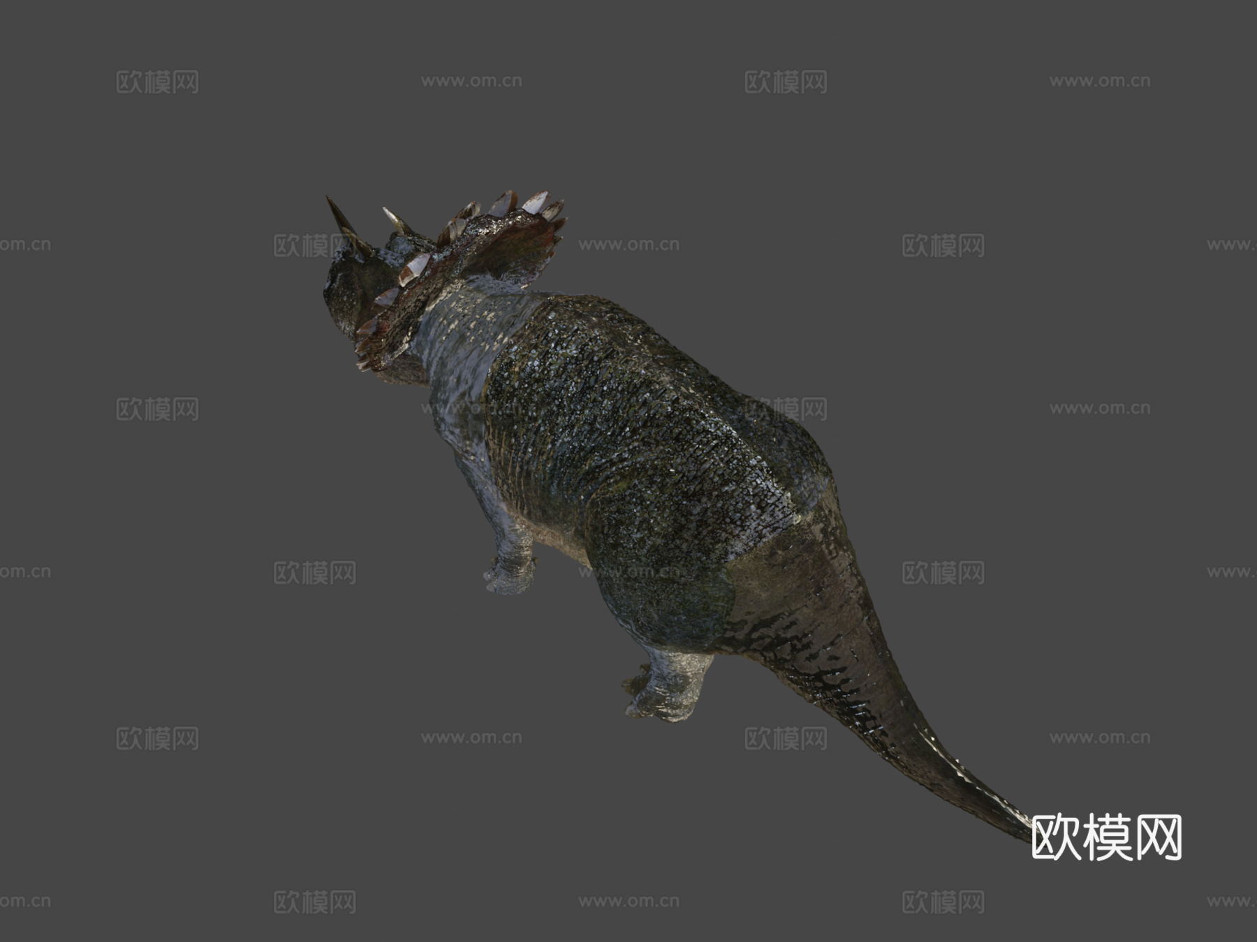 帝王角龙3d模型