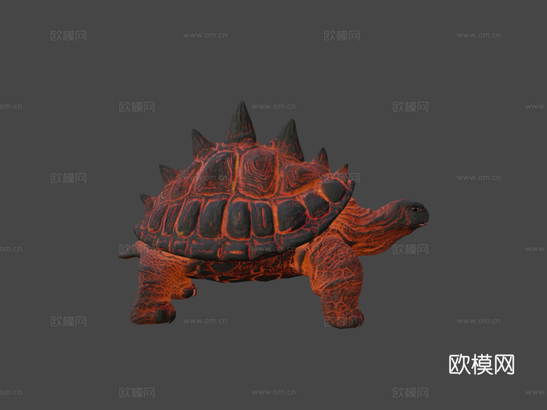 熔岩龟动画3d模型
