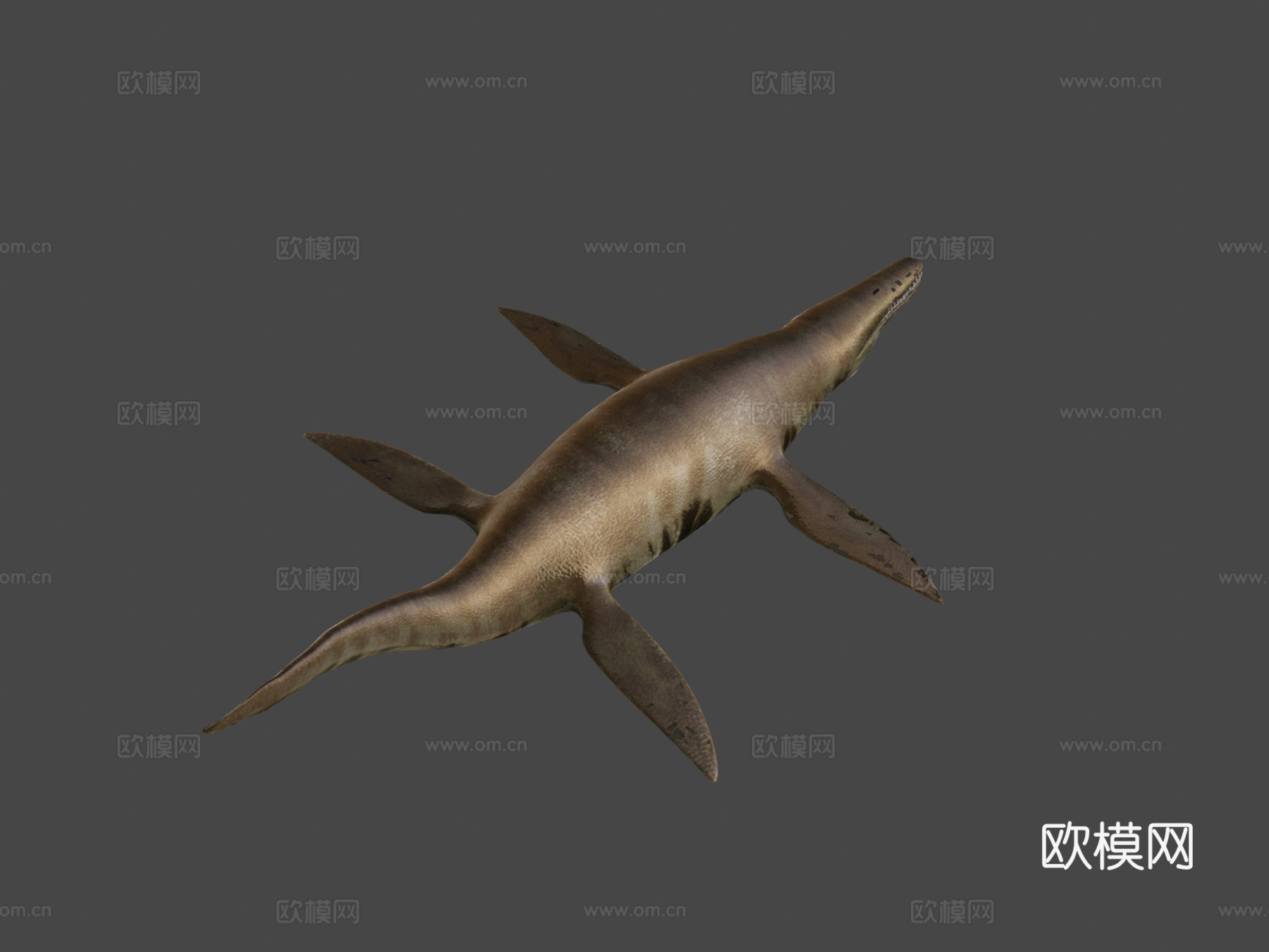 海洋蛇颈龙沧龙3d模型