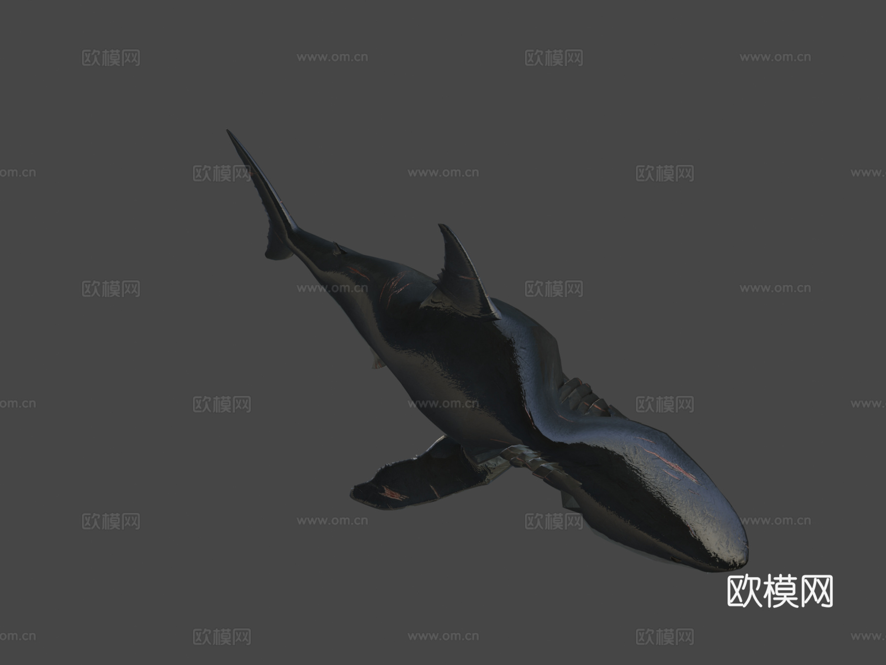 巨齿鲨3d模型
