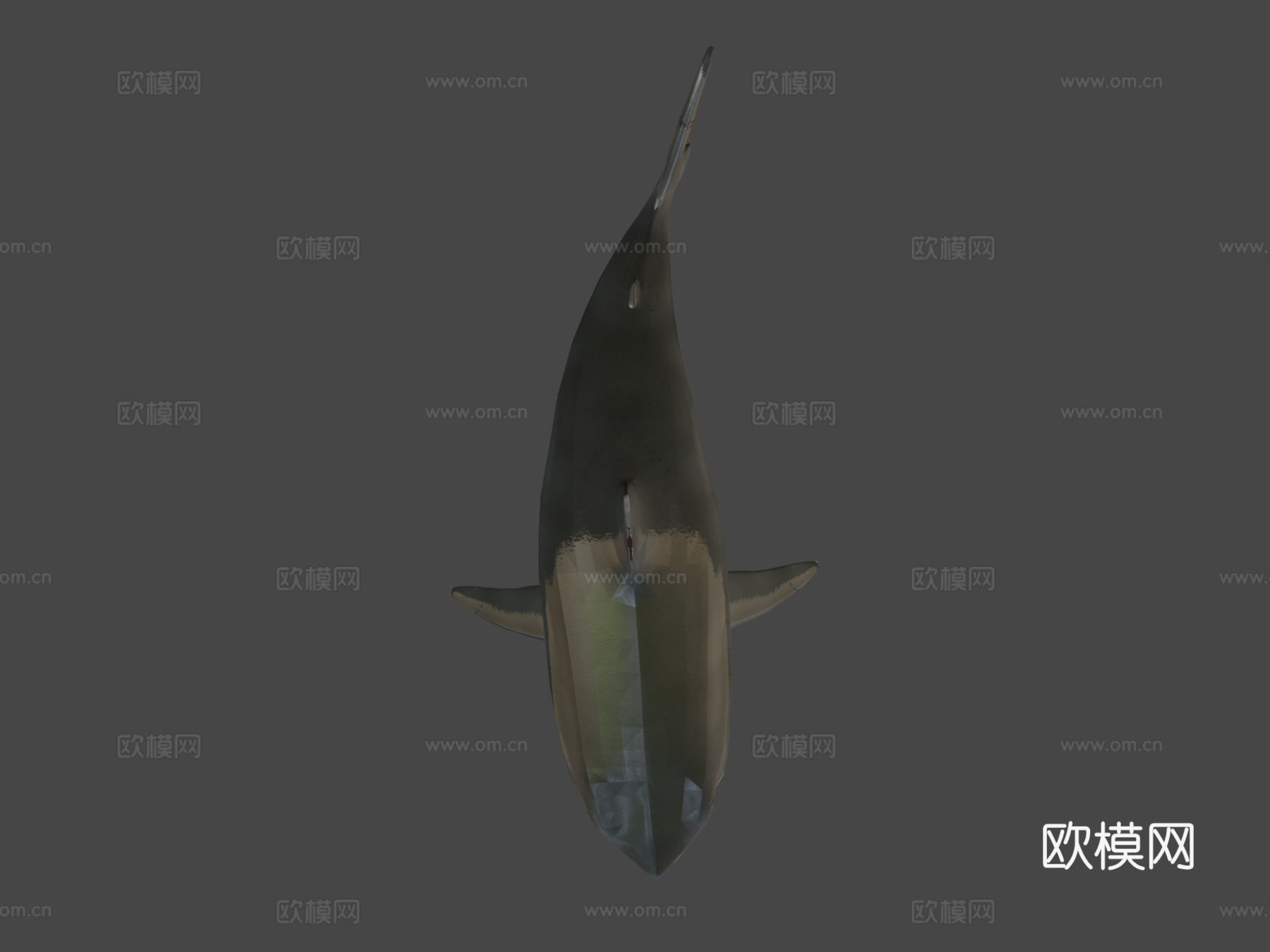 低多边形鲨鱼3d模型