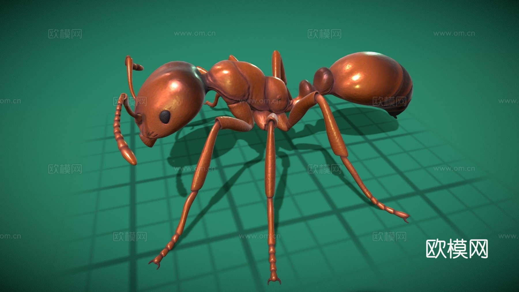红火蚁-带动画3d模型