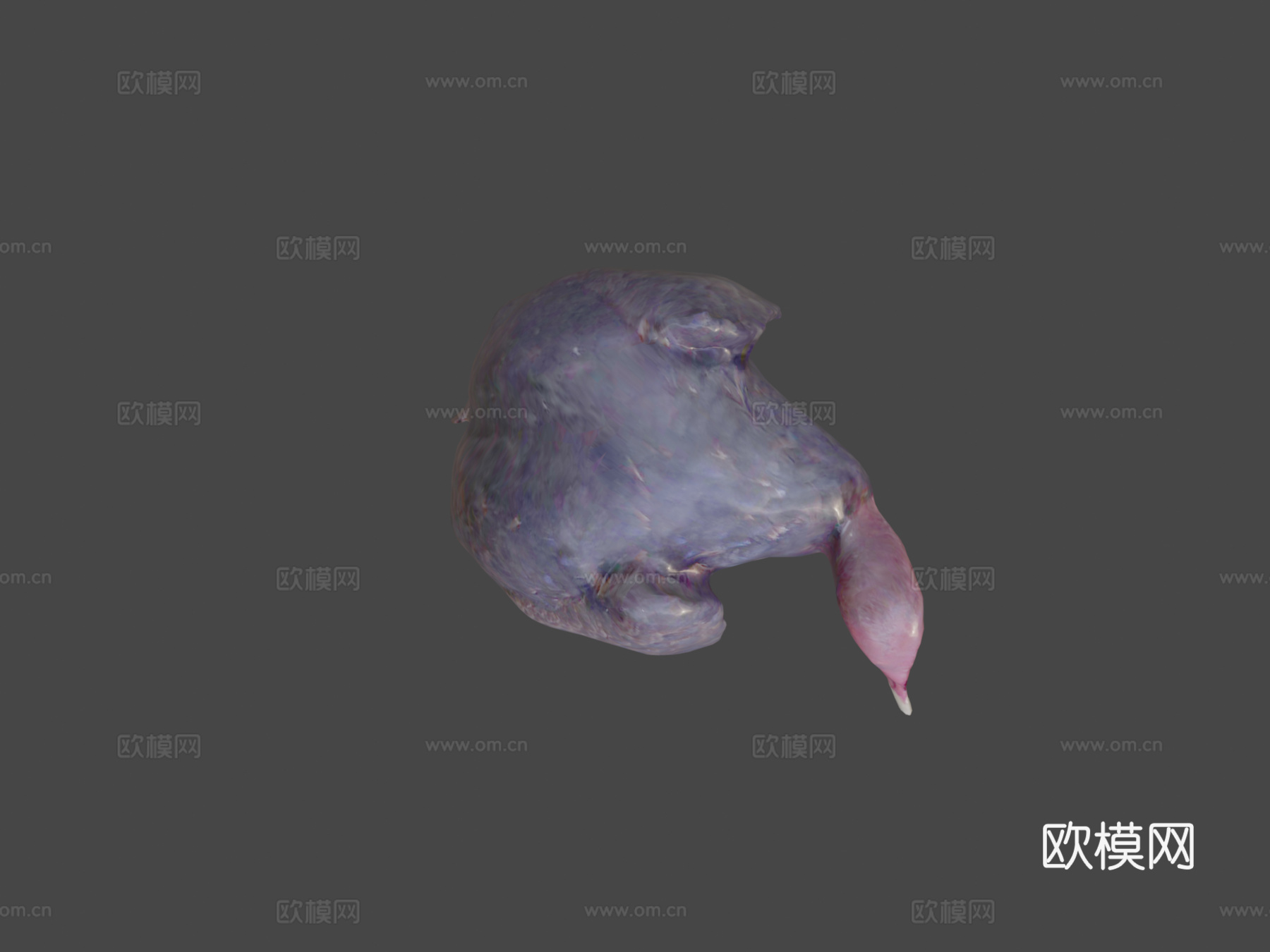 红头美洲鹫3d模型