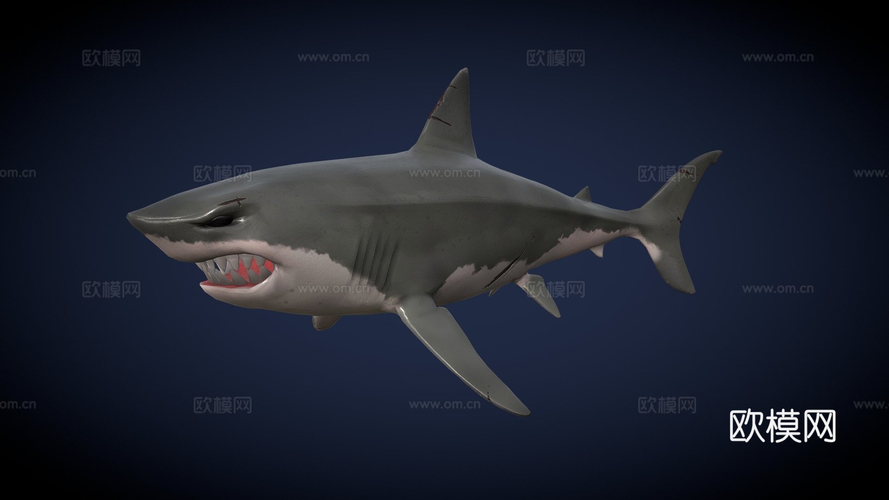 低多边形鲨鱼3d模型