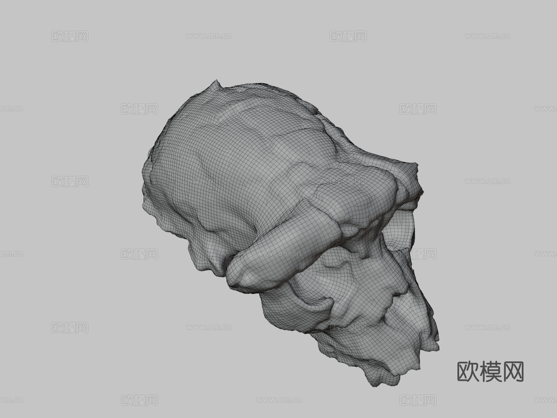 乍得沙赫人-头骨化石3d模型