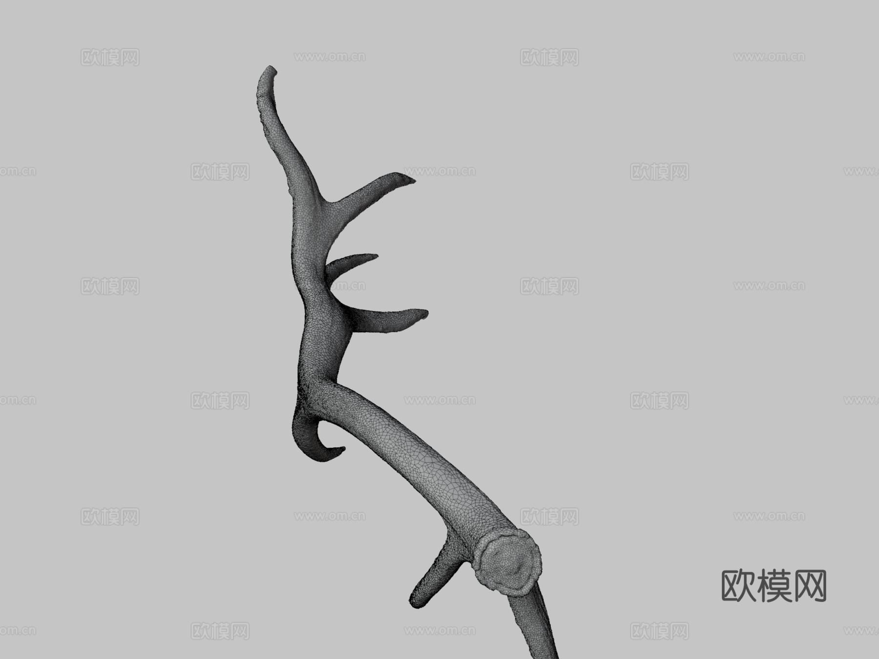 第235天-巨大麋鹿角-每日一扫描3d模型