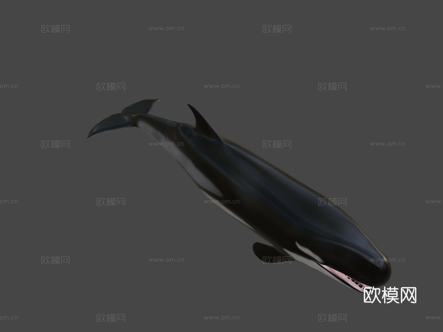 利维坦鲸3d模型