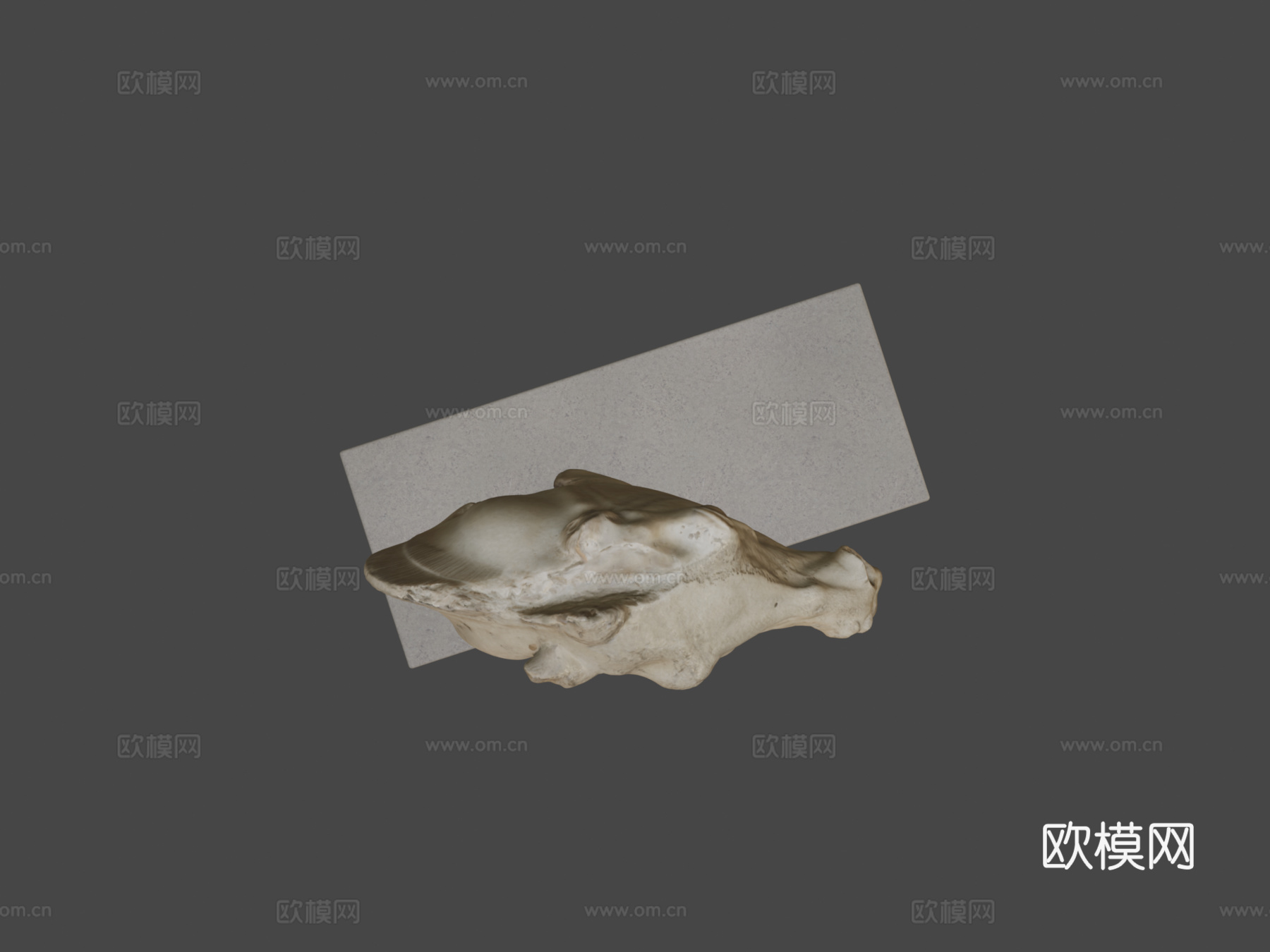 大英博物馆马头3d模型