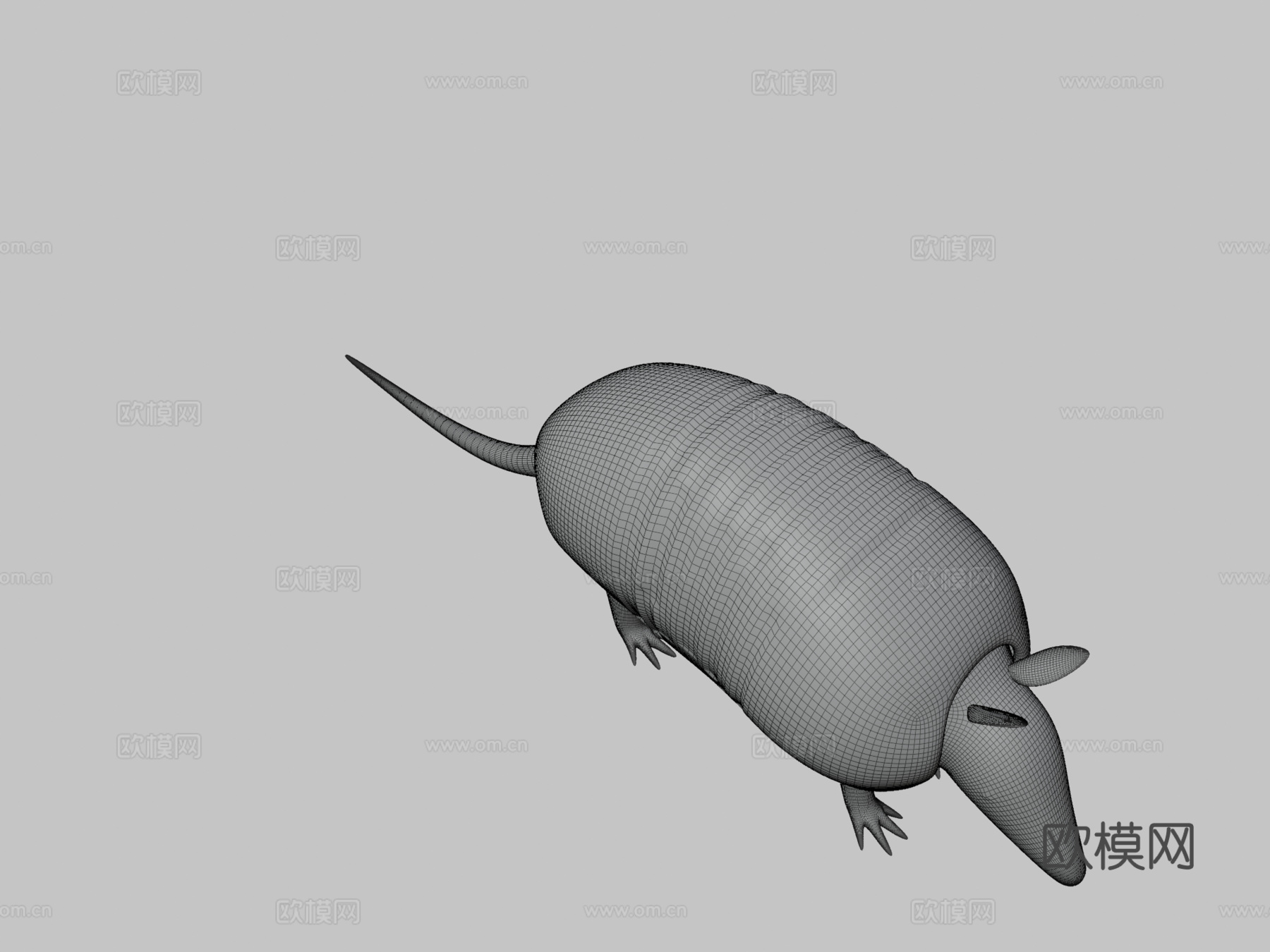 犰狳3d模型