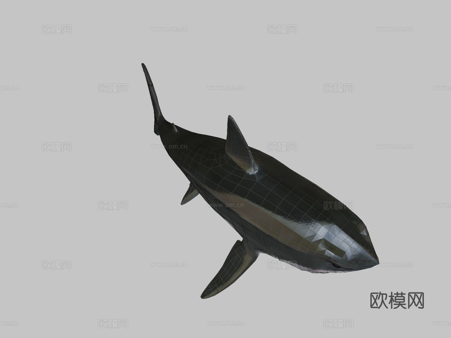 低多边形鲨鱼3d模型