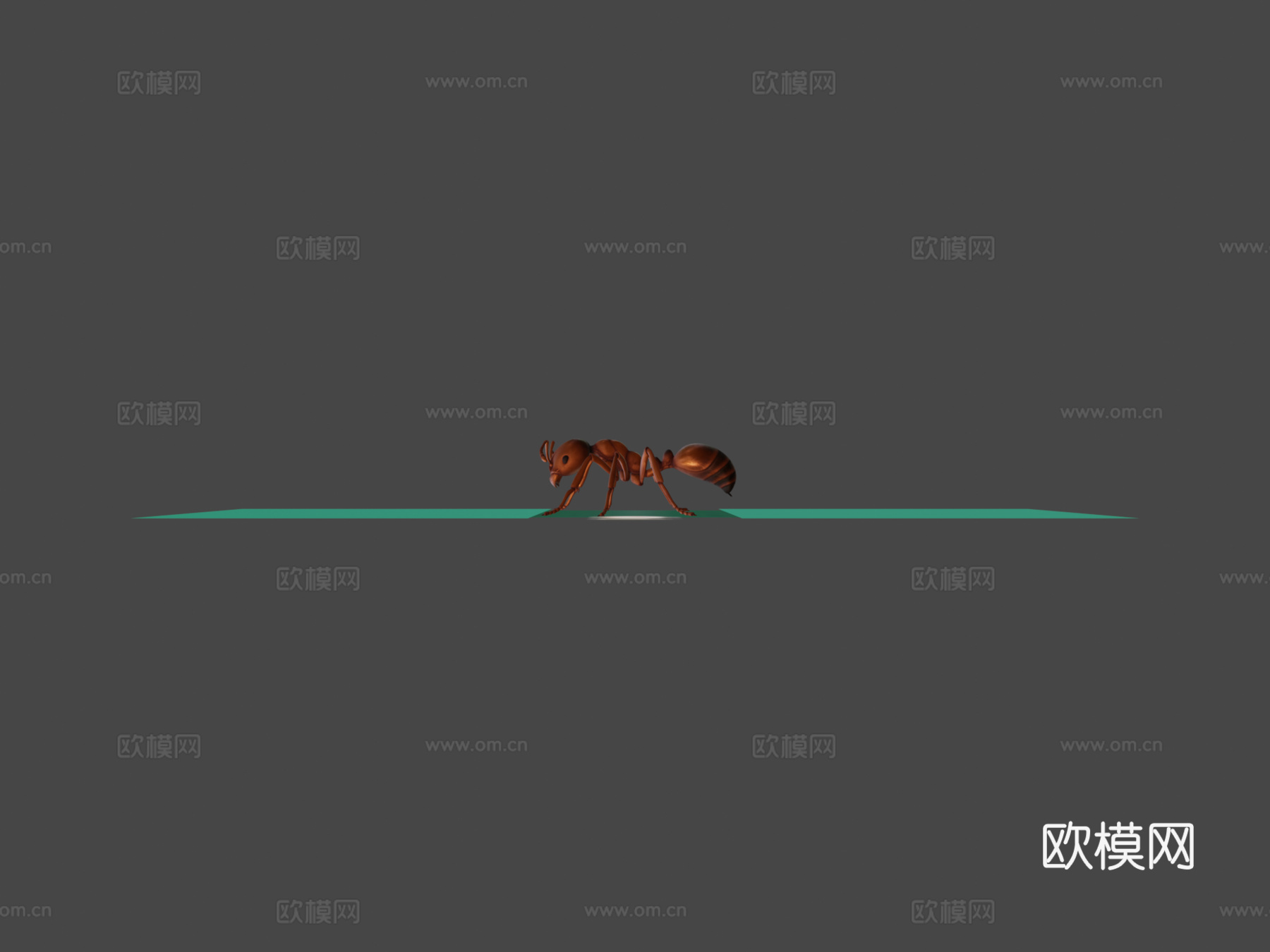 红火蚁-带动画3d模型