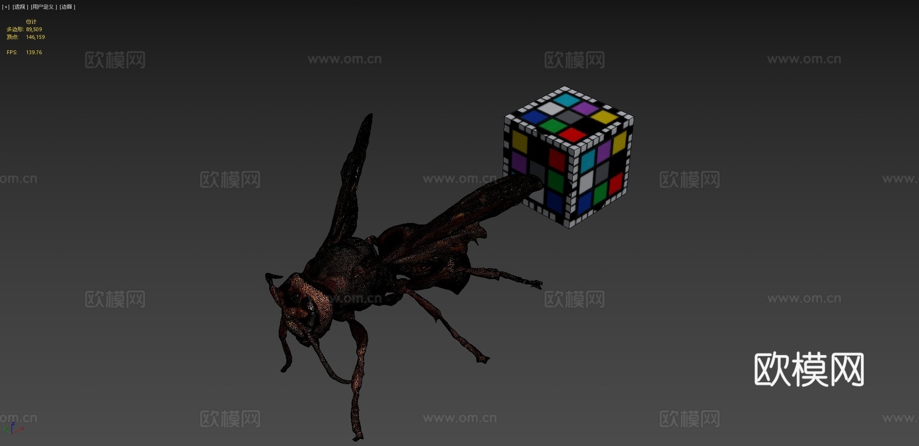 CC0欧洲大黄蜂3d模型