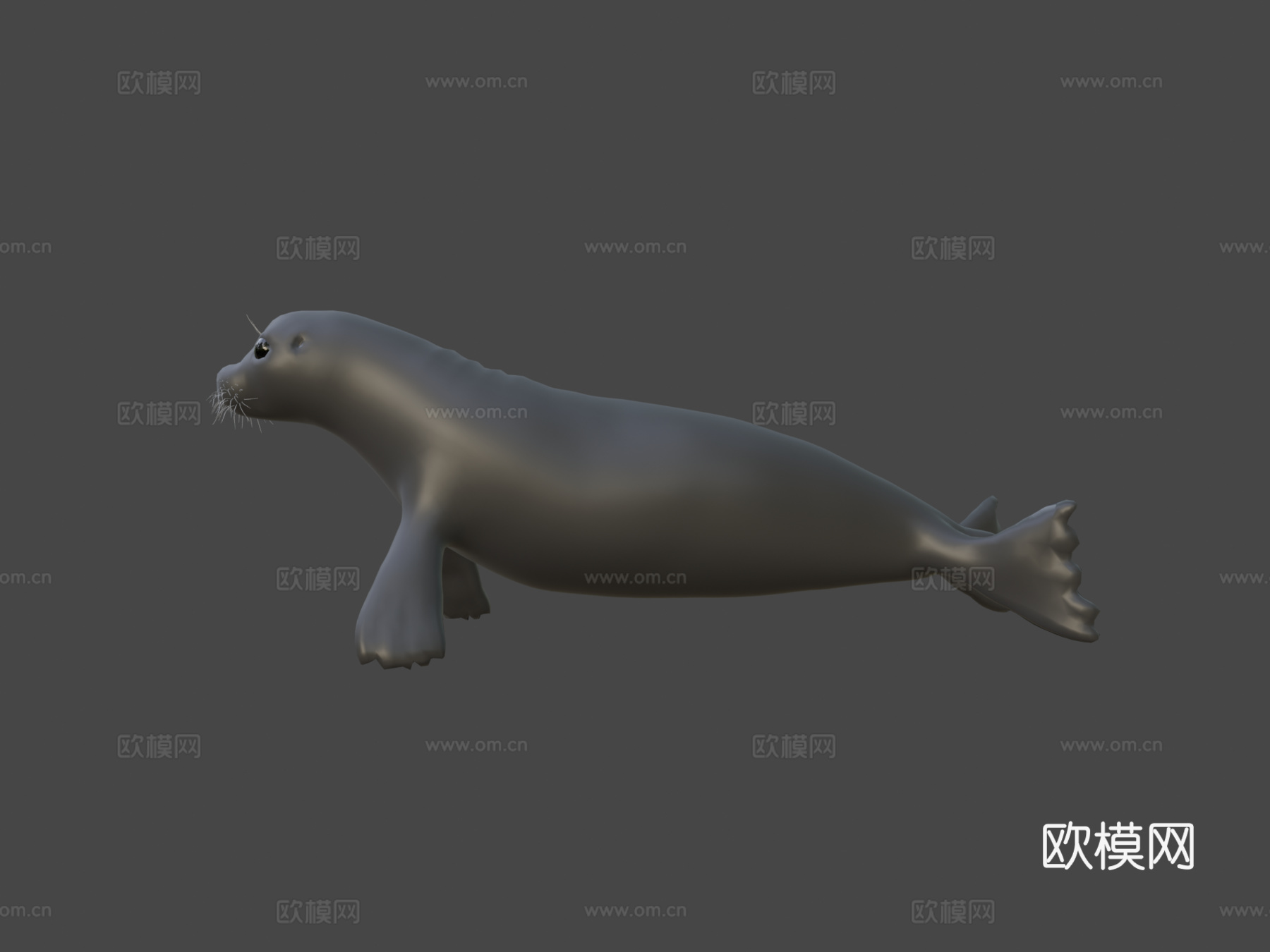普通海豹3d模型