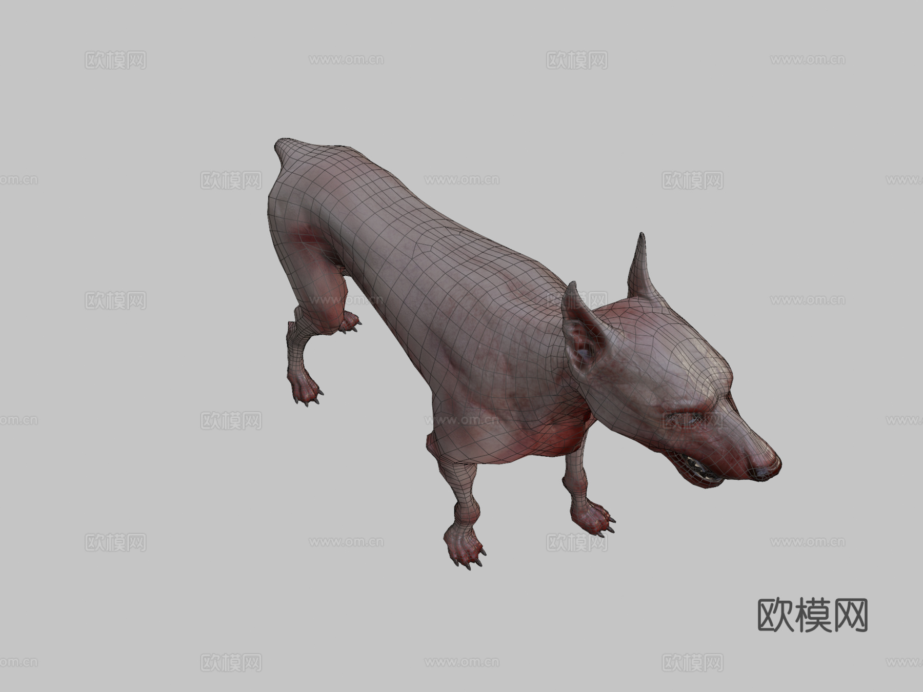 战斗犬3d模型