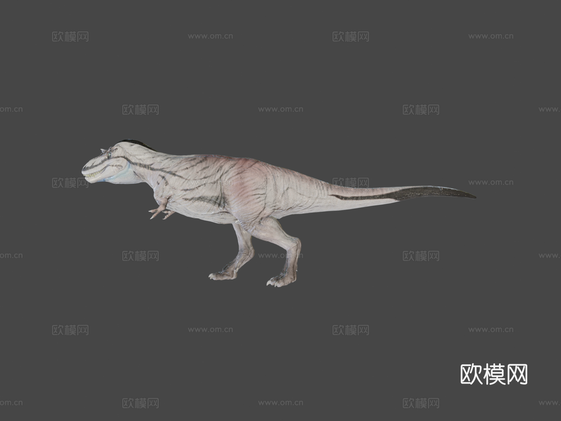 阿尔伯塔龙3d模型