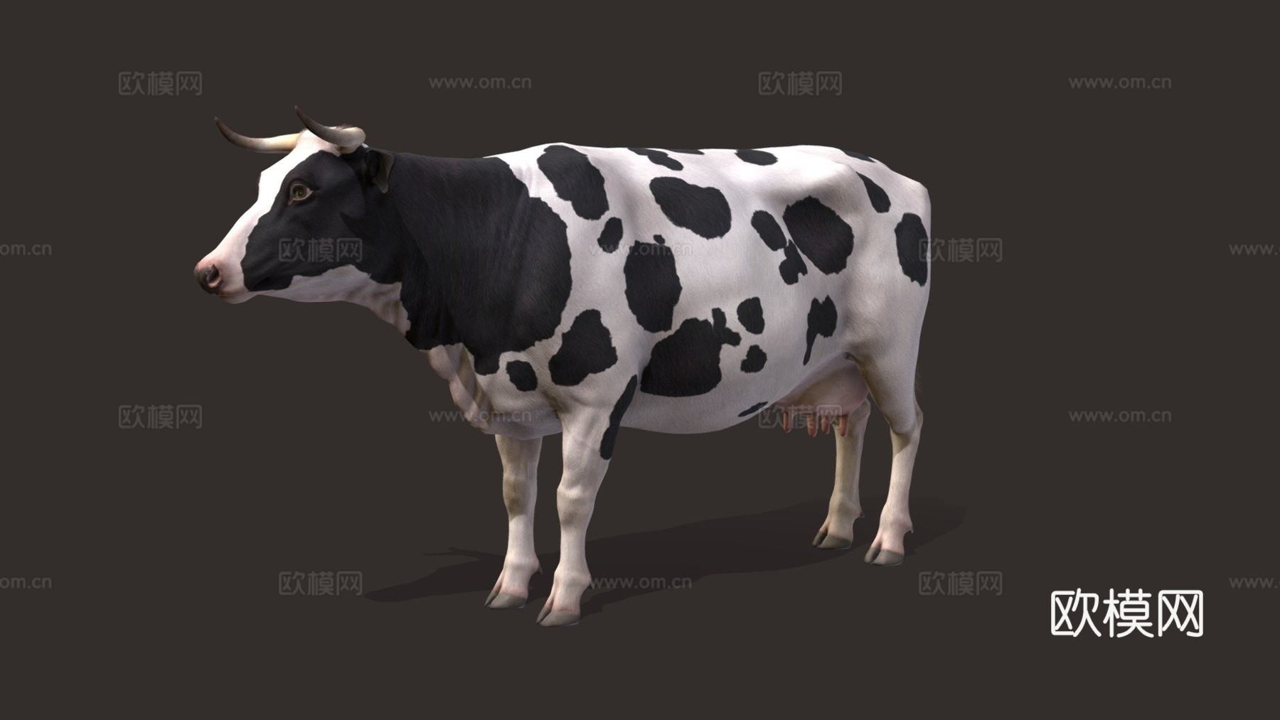 奶牛动画第二版3d模型